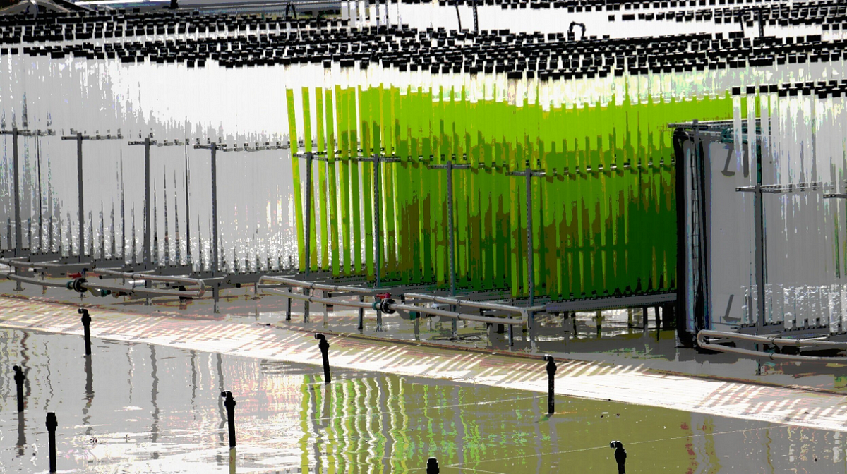 BioProcess 101. Understanding bioprocessing and… by Helikon