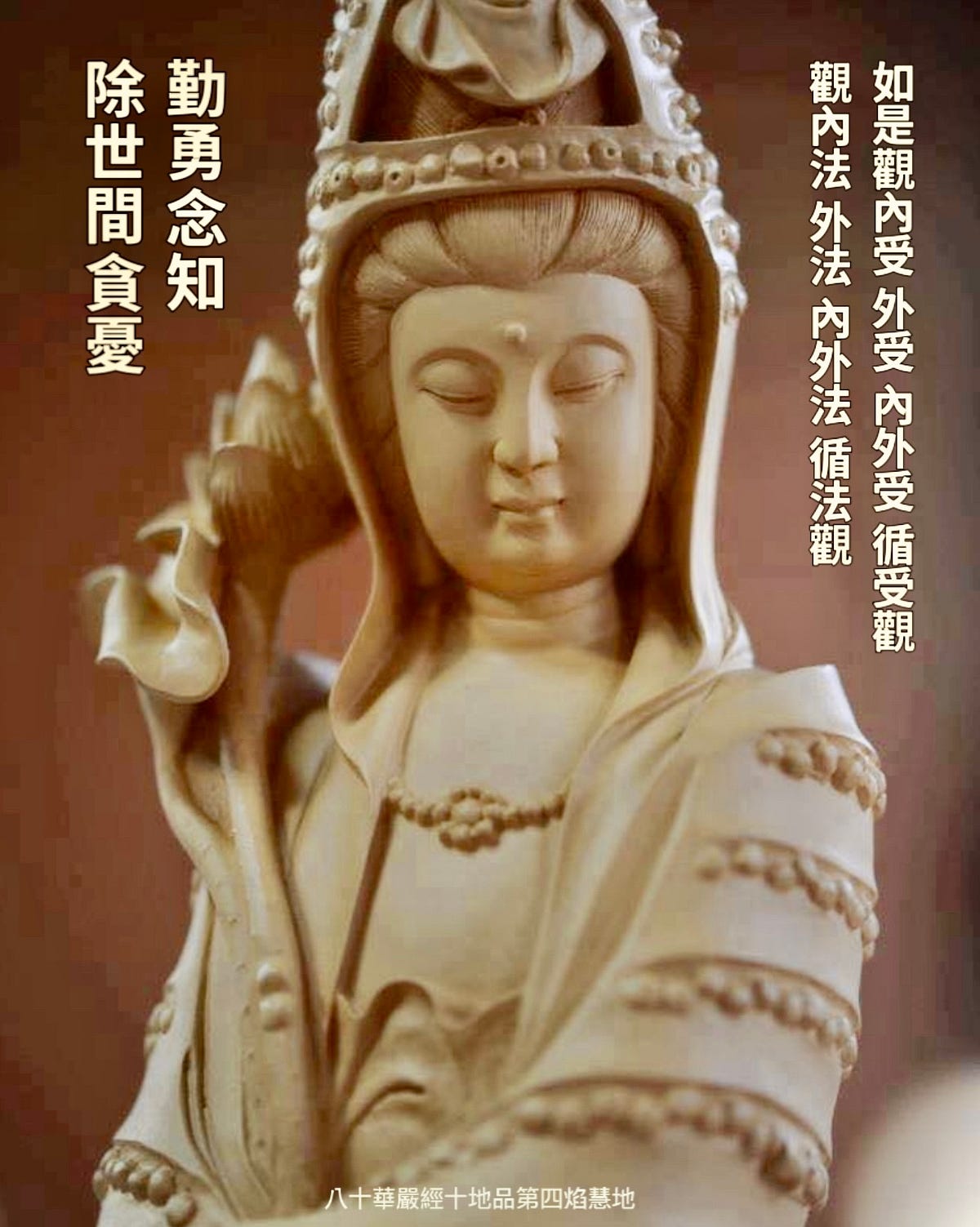 循受觀 循法觀 - gasunsriye - Medium