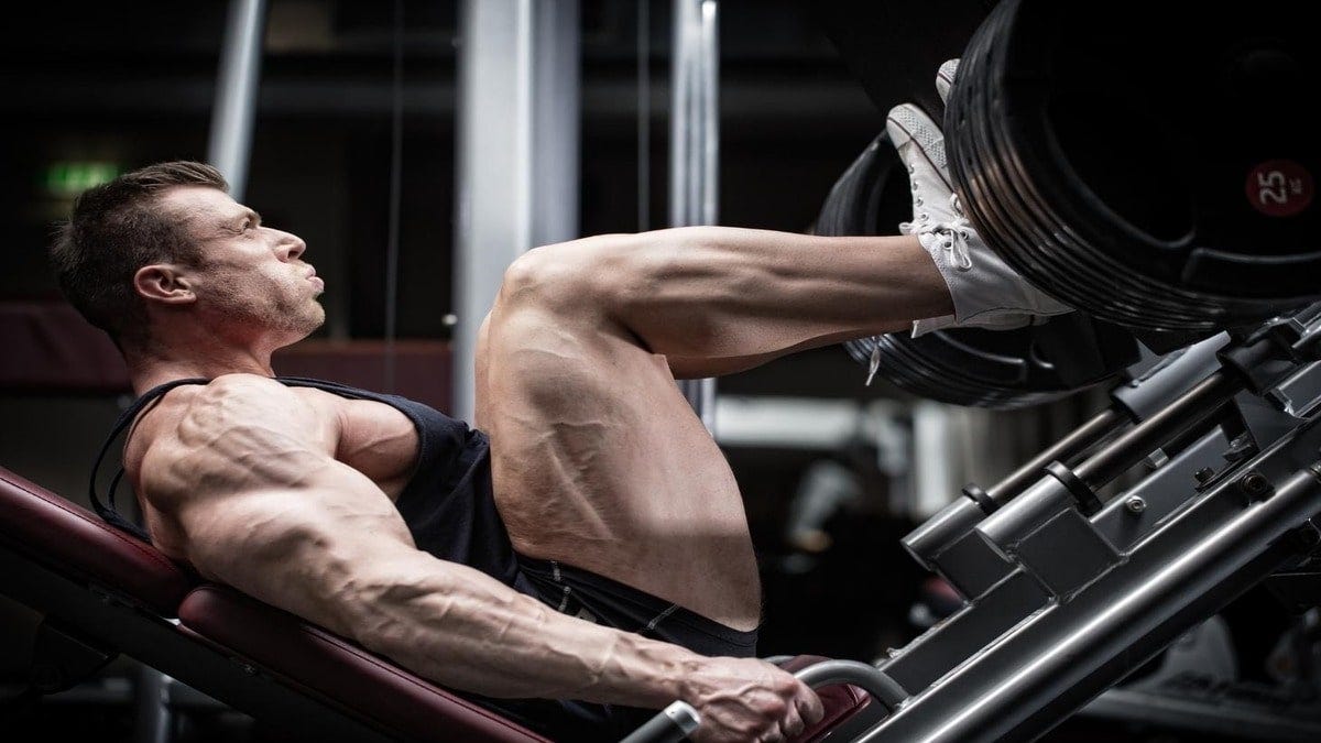 The Ultimate Guide to Leg Day. A Comprehensive Set of Exercises for ...