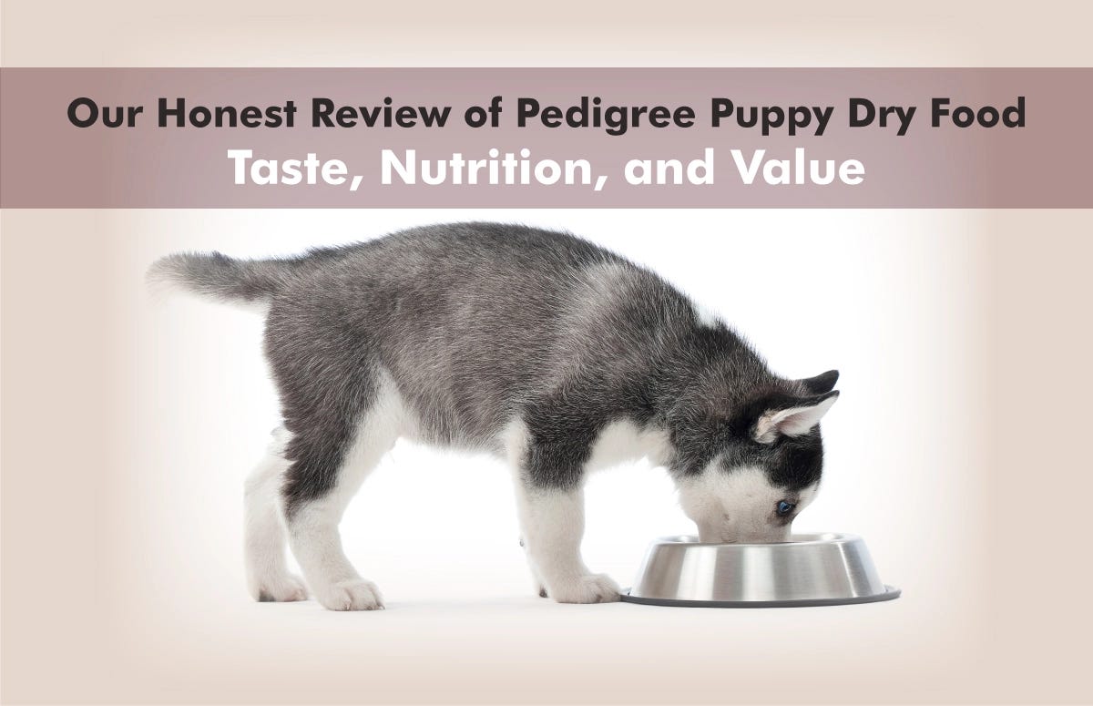 Our Honest Review of Pedigree Puppy Dry Food: Taste, Nutrition, and