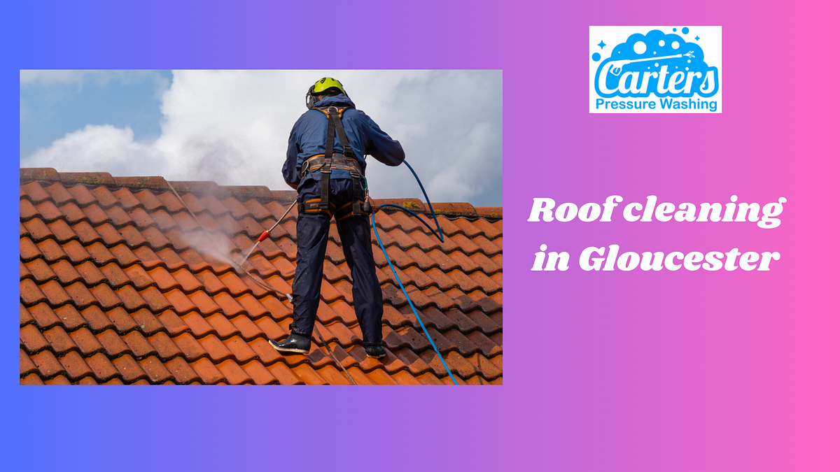 Common Roof Stains and How to Remove Them A Roof Cleaning Guide by