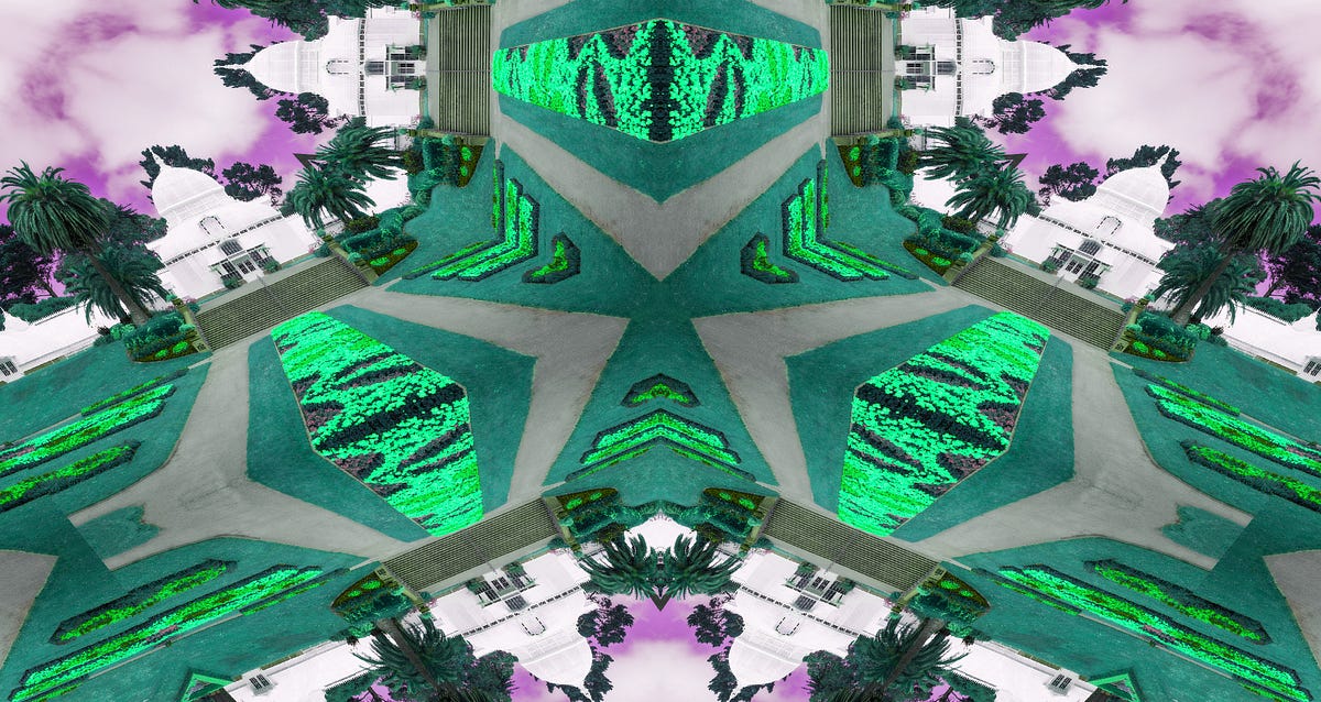 Image of: Took Acid and Walked Through Golden Gate Park