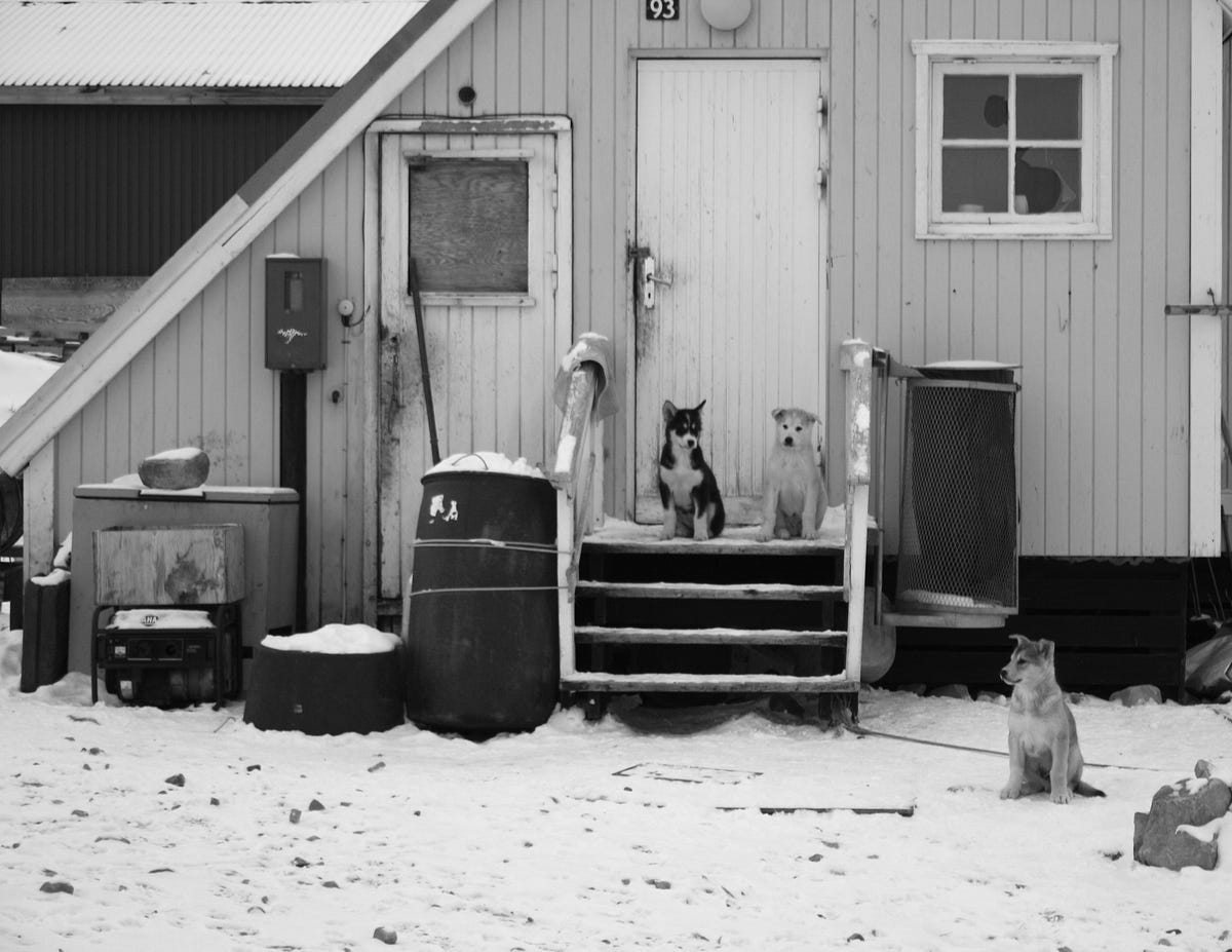 Ten Things That You Learn If You Live Alone For A Year In An Arctic