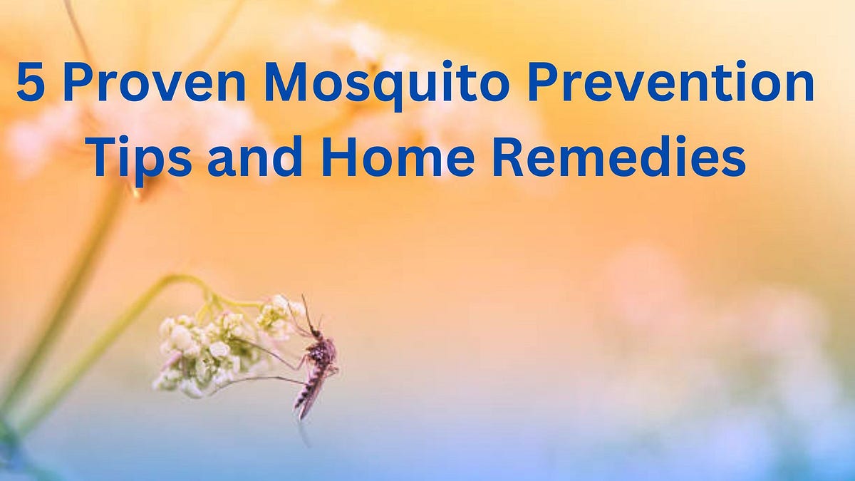 “5 Proven Mosquito Prevention Tips and Home Remedies for a BiteFree