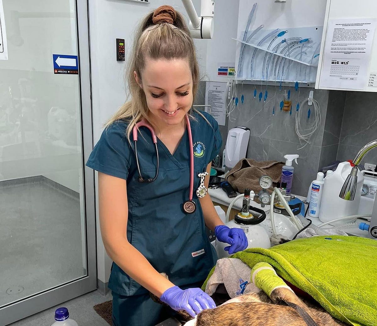 How Much Does a Vet Consult Cost in Perth? by SAI Veterinary Hospital