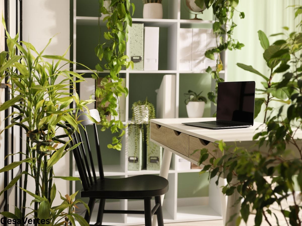 Biophilic Micro-Spaces: Natur im Innenraum integriert von Gesa Vertes