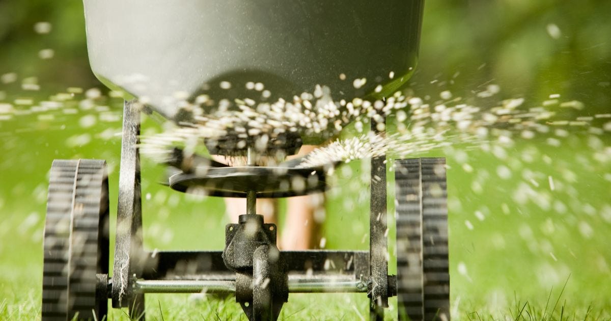 How Often to Fertilize Your Lawn Medium