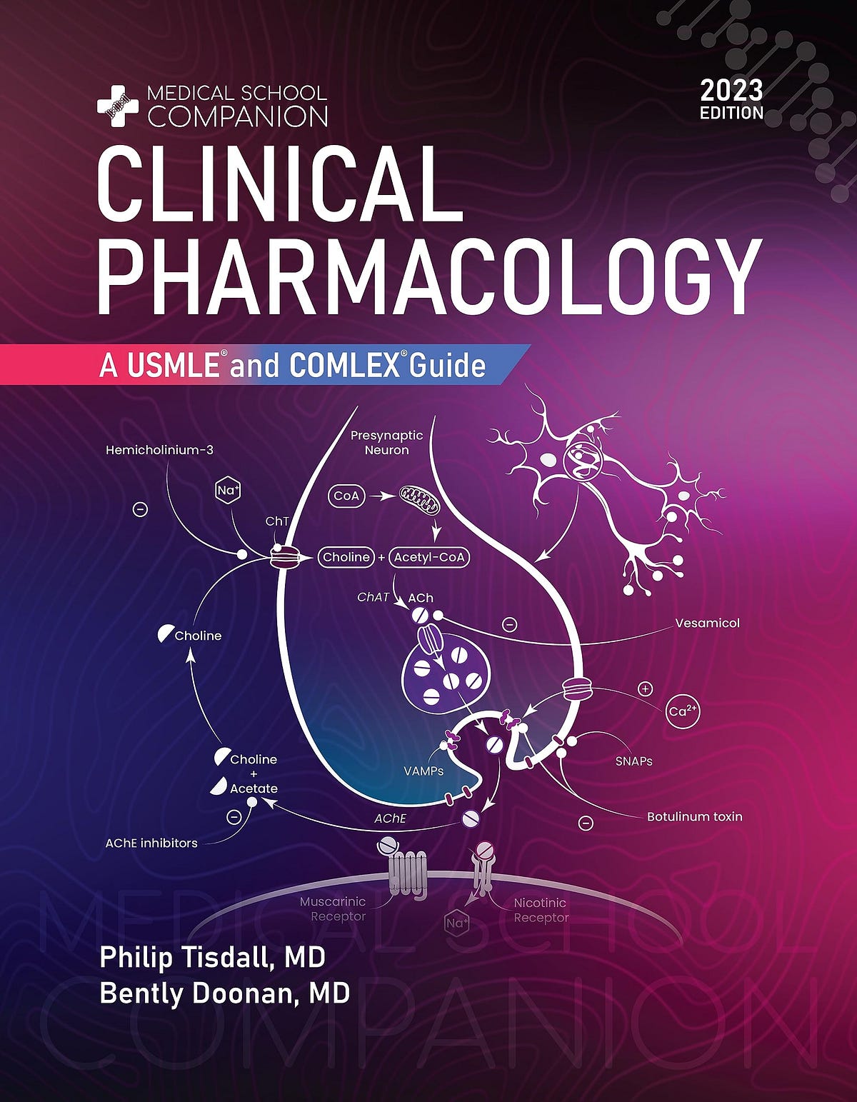 The Definitive Guide To Comlex To Usmle Conversion - ss5leux