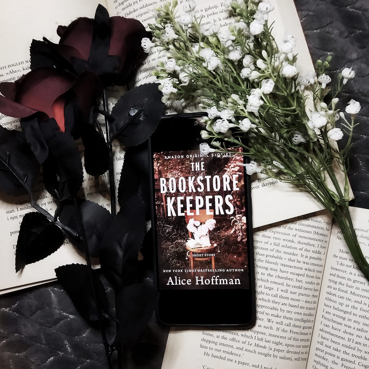ARC Review ‘The Bookstore Keepers’ by Alice Hoffman by D.