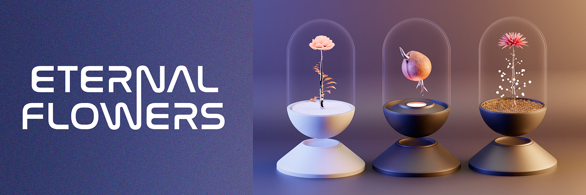 Eternal Flowers project. Hello Eternals! It’s been 6 months we… | by ...