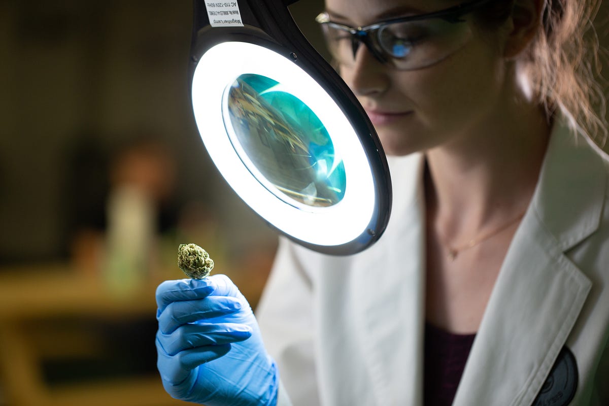 Cannalysis Labs Case Study. site Redesign by The Carrera Agency