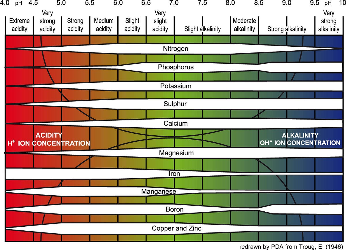 Understanding Hydroponic Nutrient Solutions Do You Understand