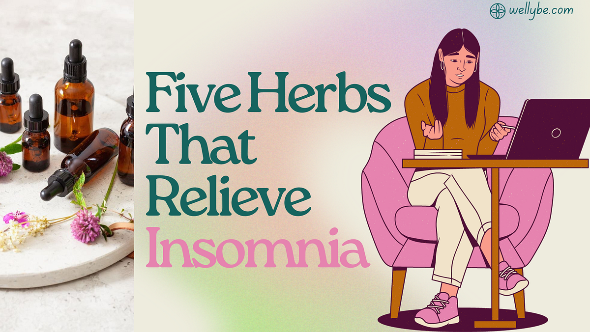 Five Herbs That Relieve Insomnia Helena Mirkeze Medium