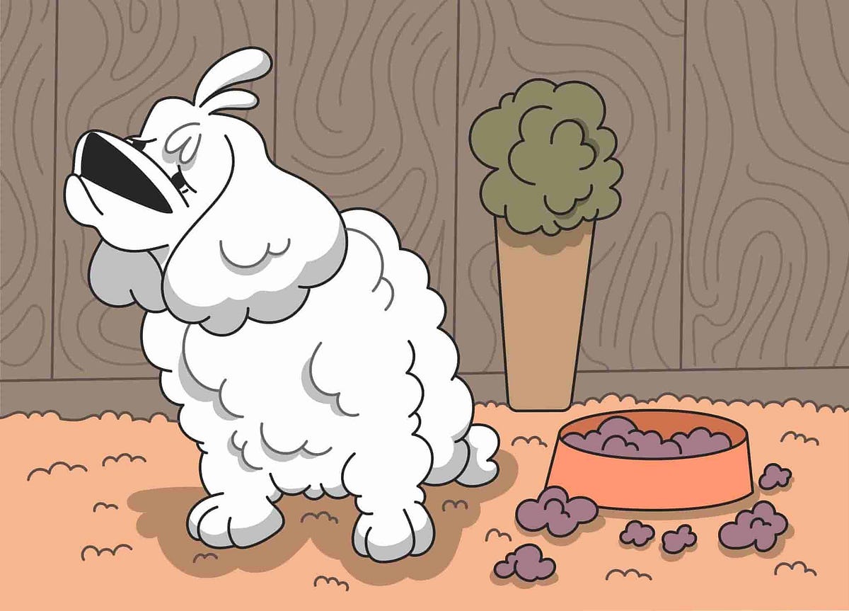 My Dog is Not Eating Reasons & Solutions For Loss of Appetite in Dogs