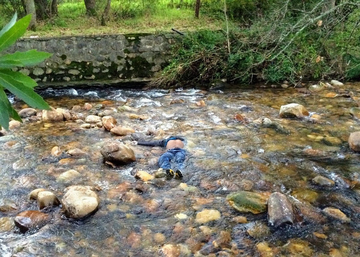 Rob Turrell Death in the Jonkershoek valley | by Rob Turrell | Medium