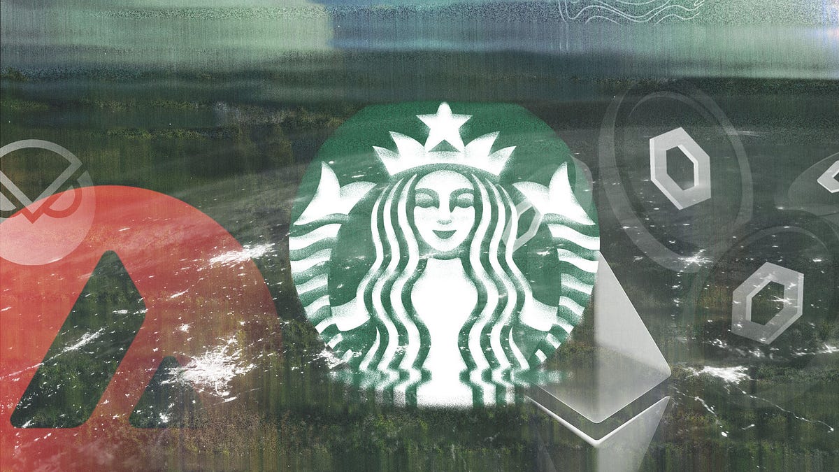 The Weekly RUNDOWN #4. Welcome to The Weekly Rundown, where we… | by ...