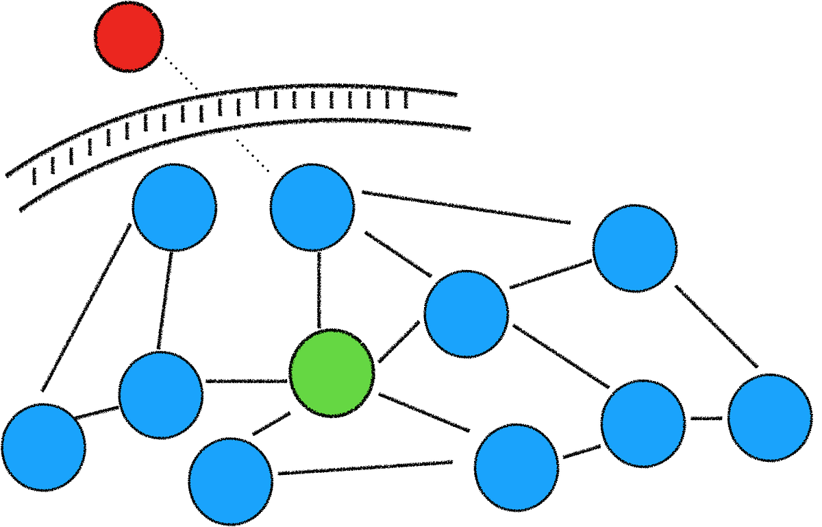 The Glass Ceilings in your Social Graph by Ansh Verma Medium