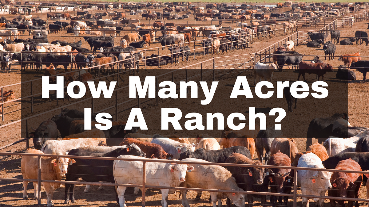 How Many Acres Is A Ranch? The Complete Overview by Brogan Lambert Medium