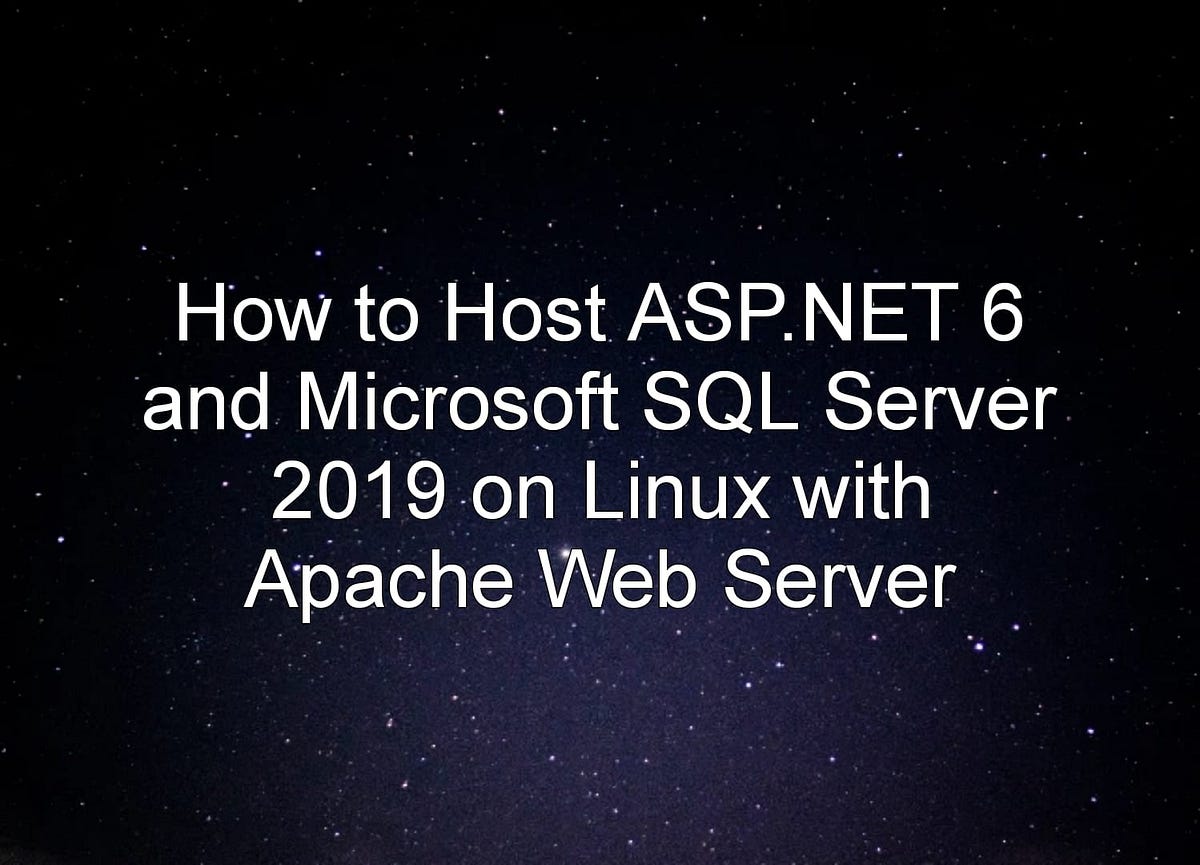 How to Host ASP.NET 6 and Microsoft SQL Server 2019 On Linux with ...