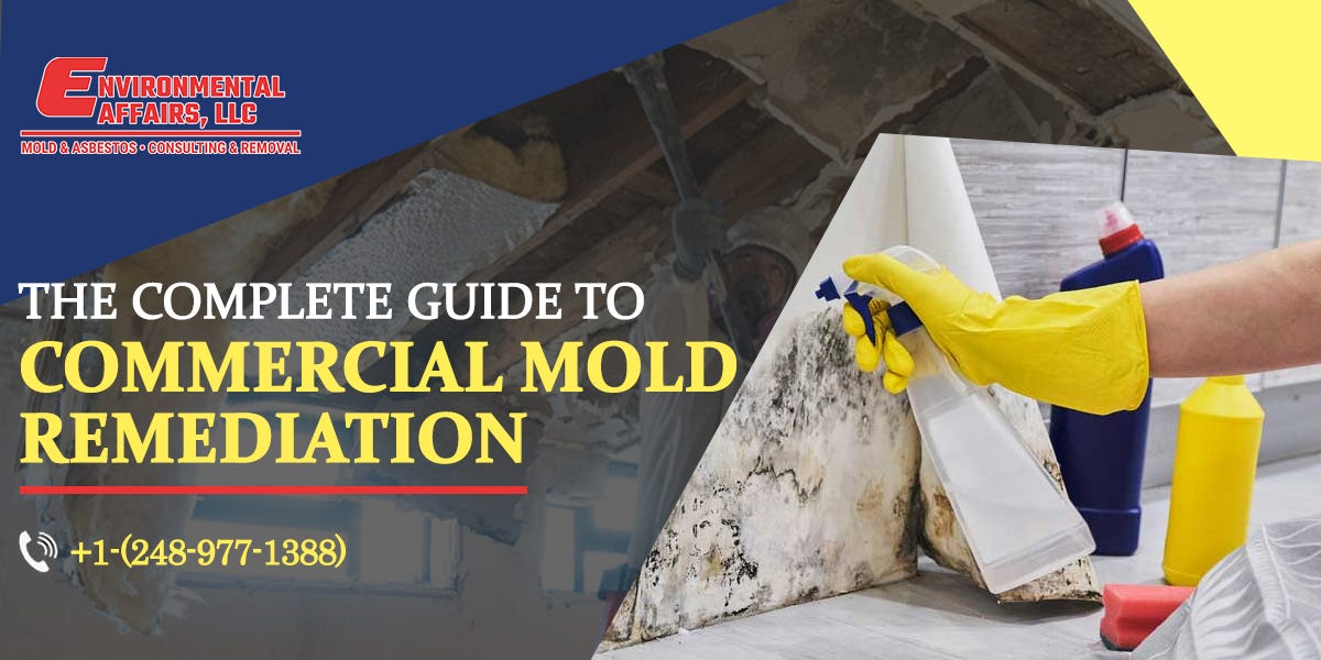The Complete Guide to Commercial Mold Remediation by Environmental