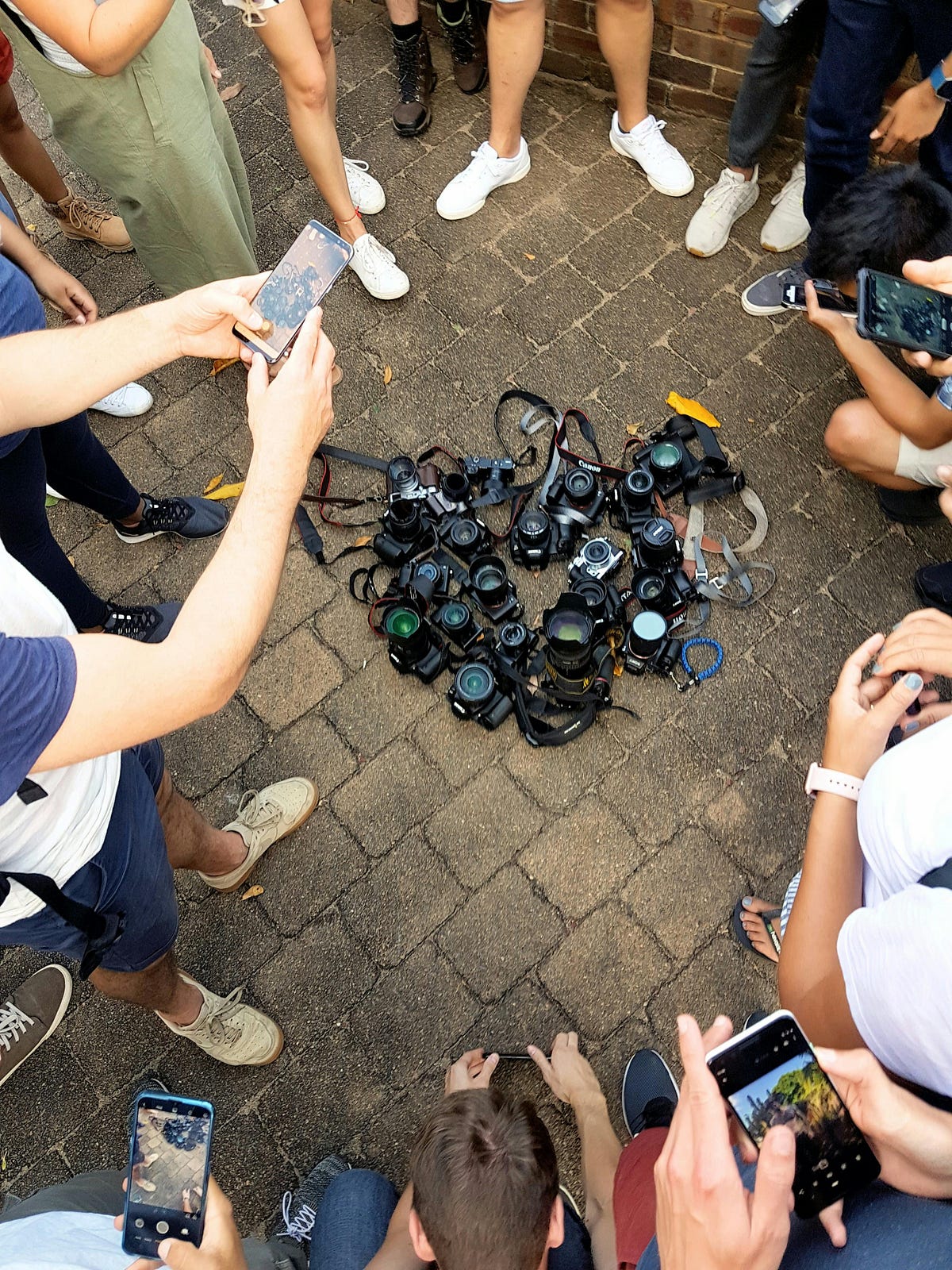 Exploring Different Camera Types DSLR vs. Mirrorless vs. Pointand