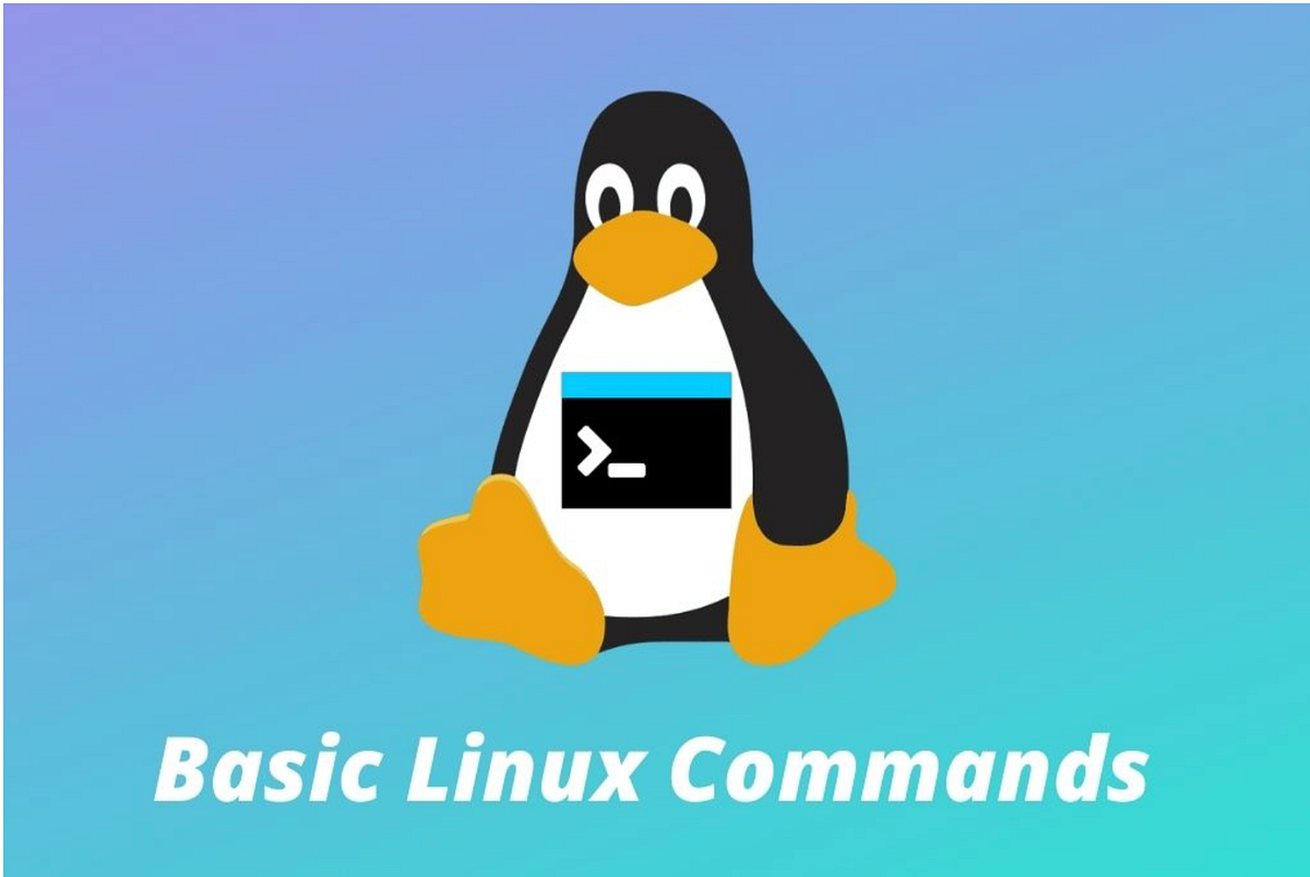 Creating: Users, Groups and Permissions Through Root | by Shaun ...