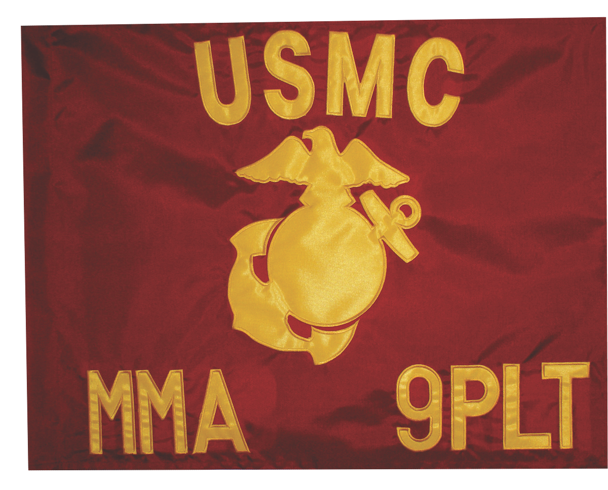 Exploring the Branches of Guidon Flags by Orlandoborel Sep, 2023