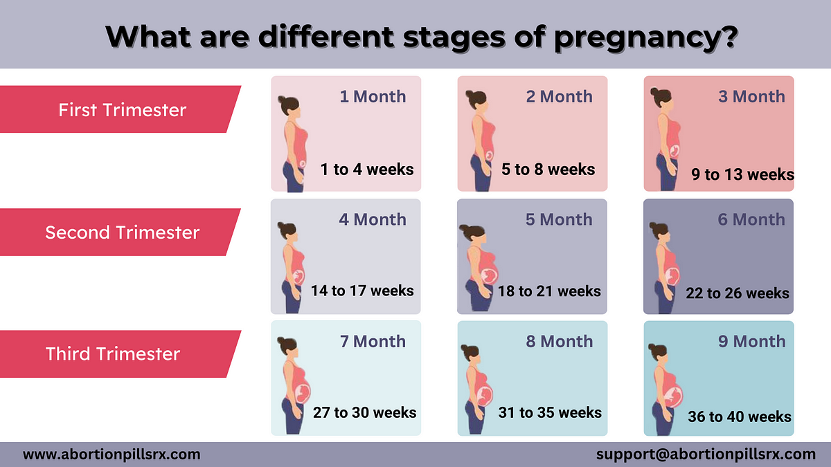 What are different stages of pregnancy? | by Sherlly wrander | Jan ...