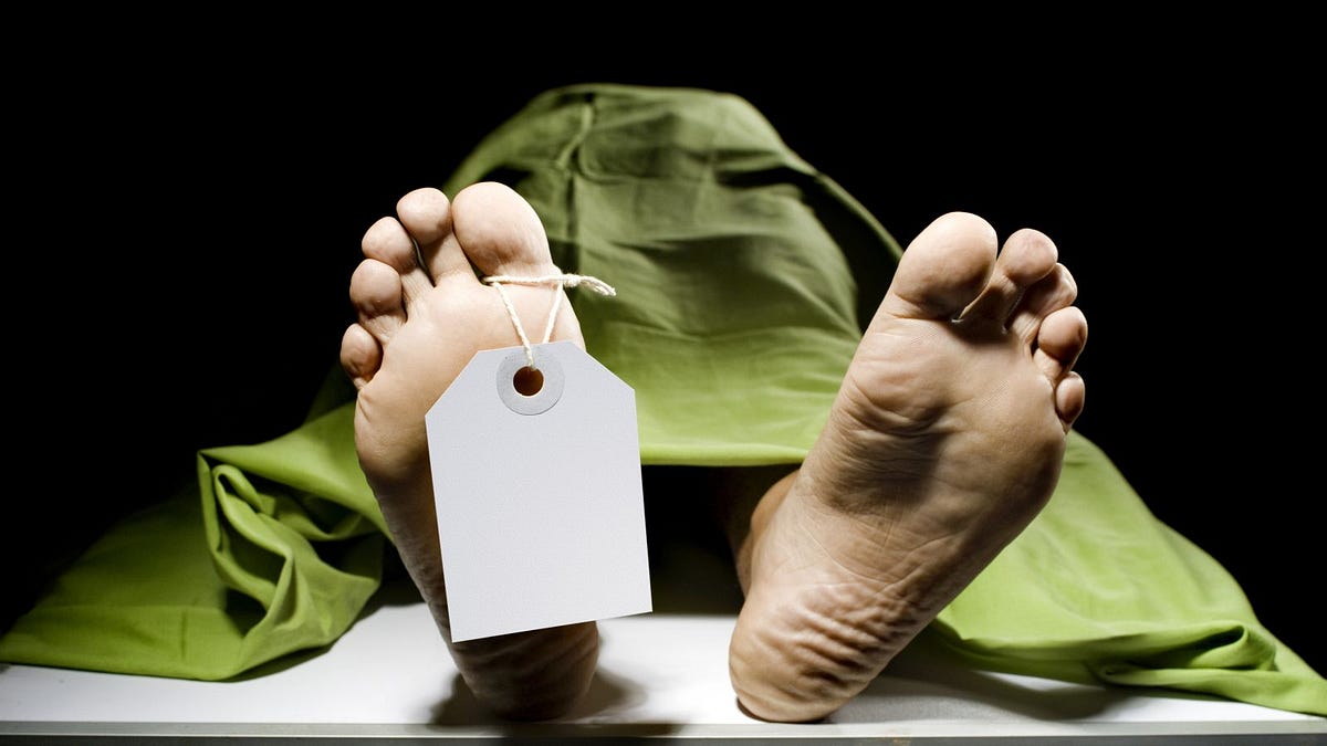 10 ways the dead can help the living after they are gone by william r