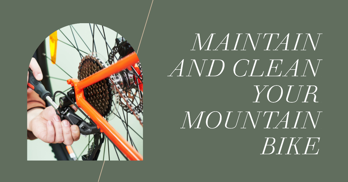 How to Maintain and Clean Your Mountain Bike The Importance of Regular
