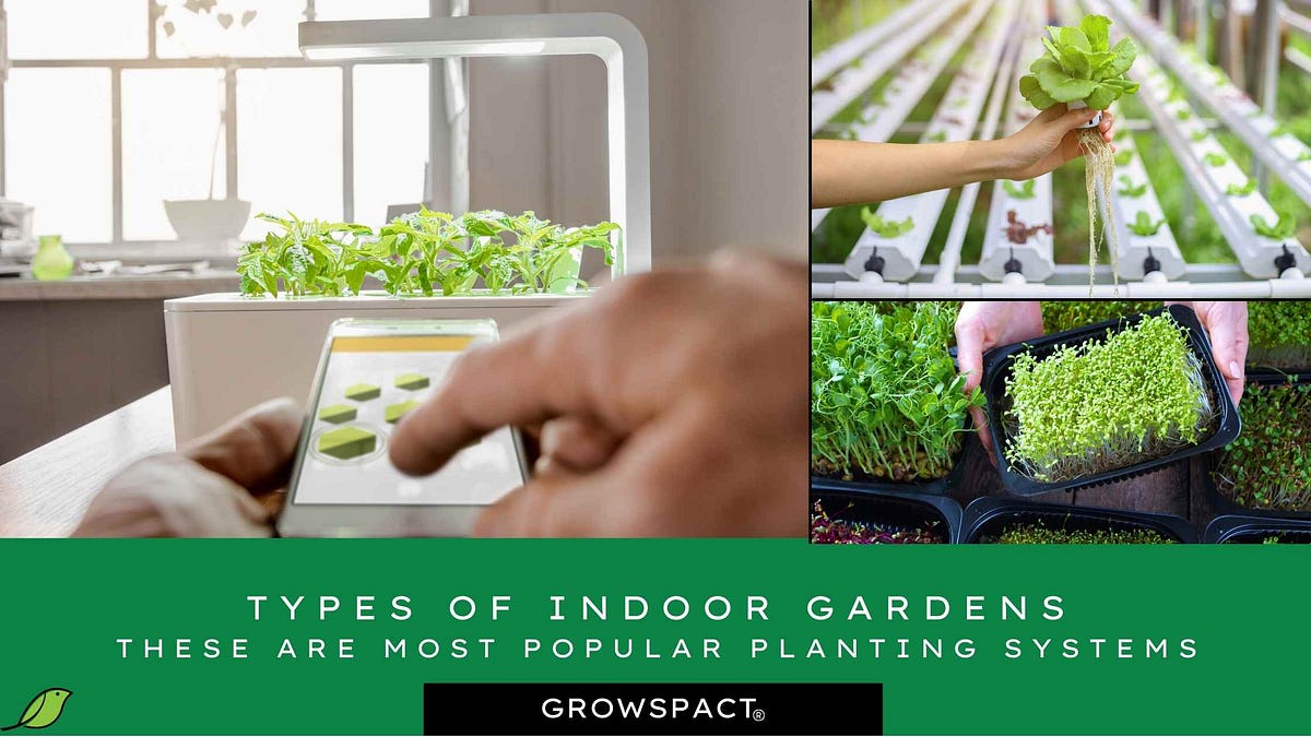 Different types of indoor gardens — These are the most popular indoor