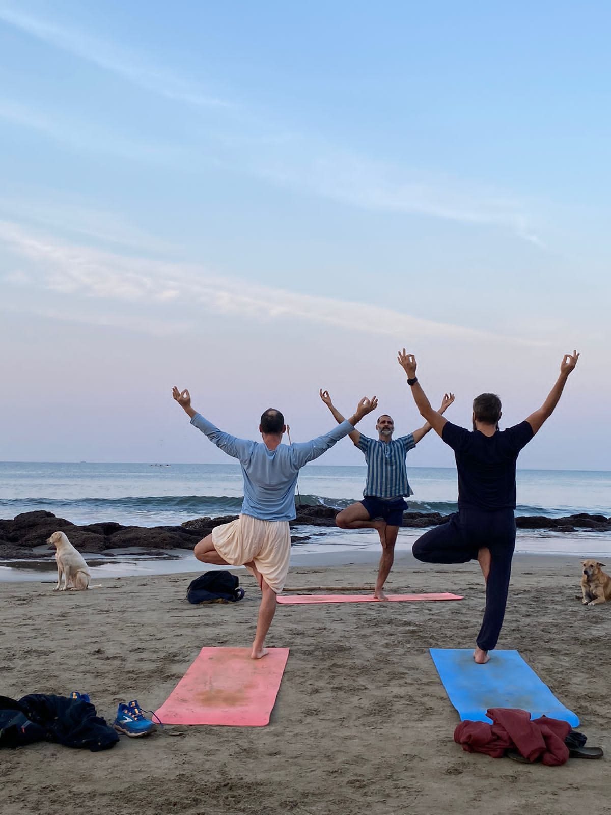 An aspiring Yoga school in India. A comprehensive Yoga teacher training