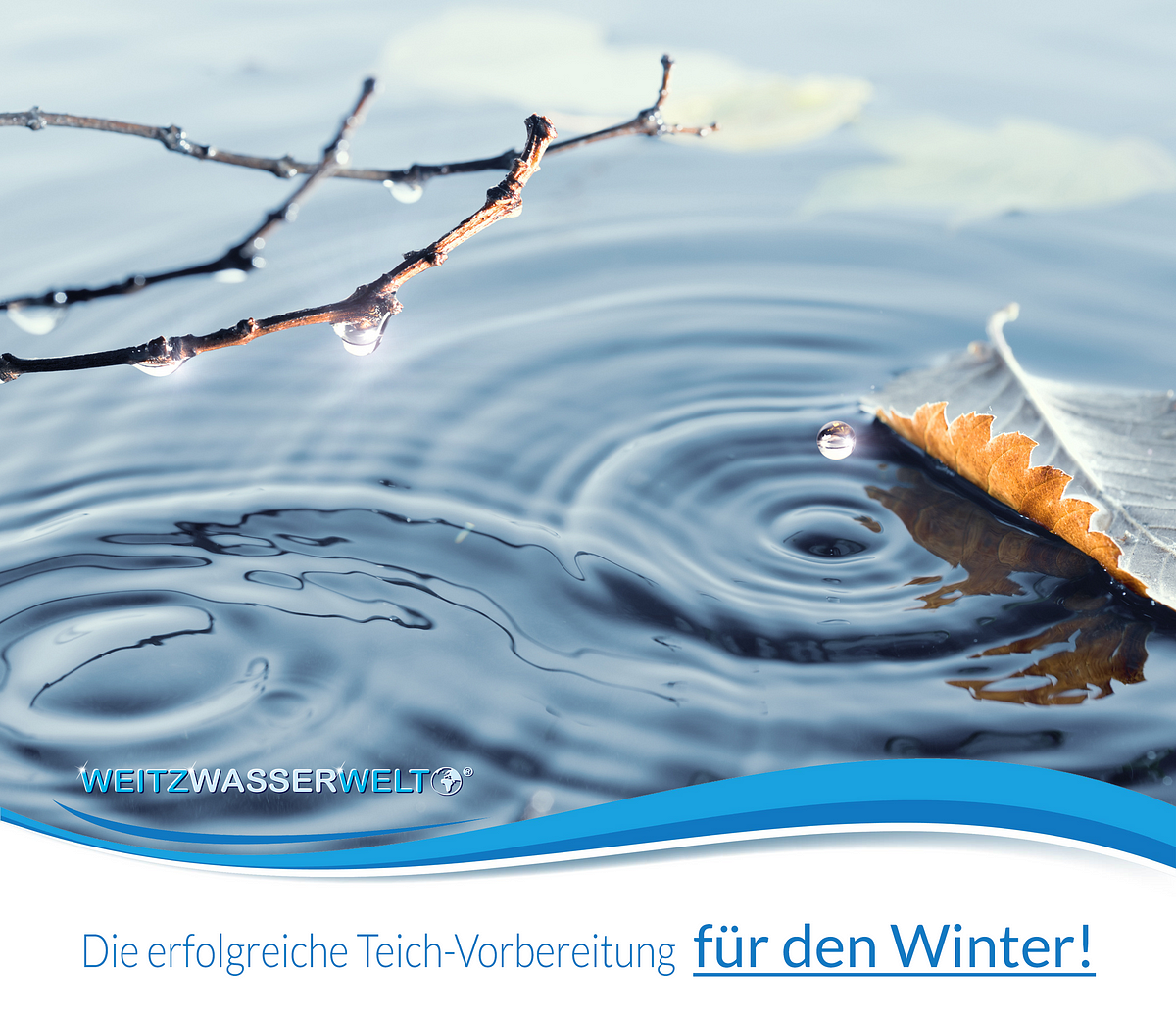Die erfolgreiche TeichVorbereitung für den Winter! by Weitz