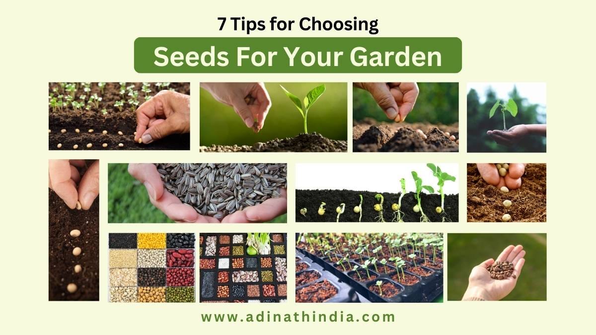 7 Tips for Choosing the Right Seeds for Your Garden by Shreyansh Agrawal Nov, 2023 Medium