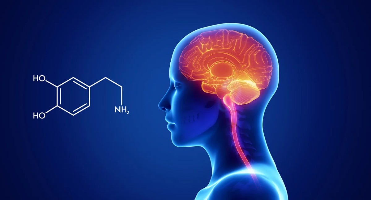View of Mechanisms and regulation of dopamine release - PMC