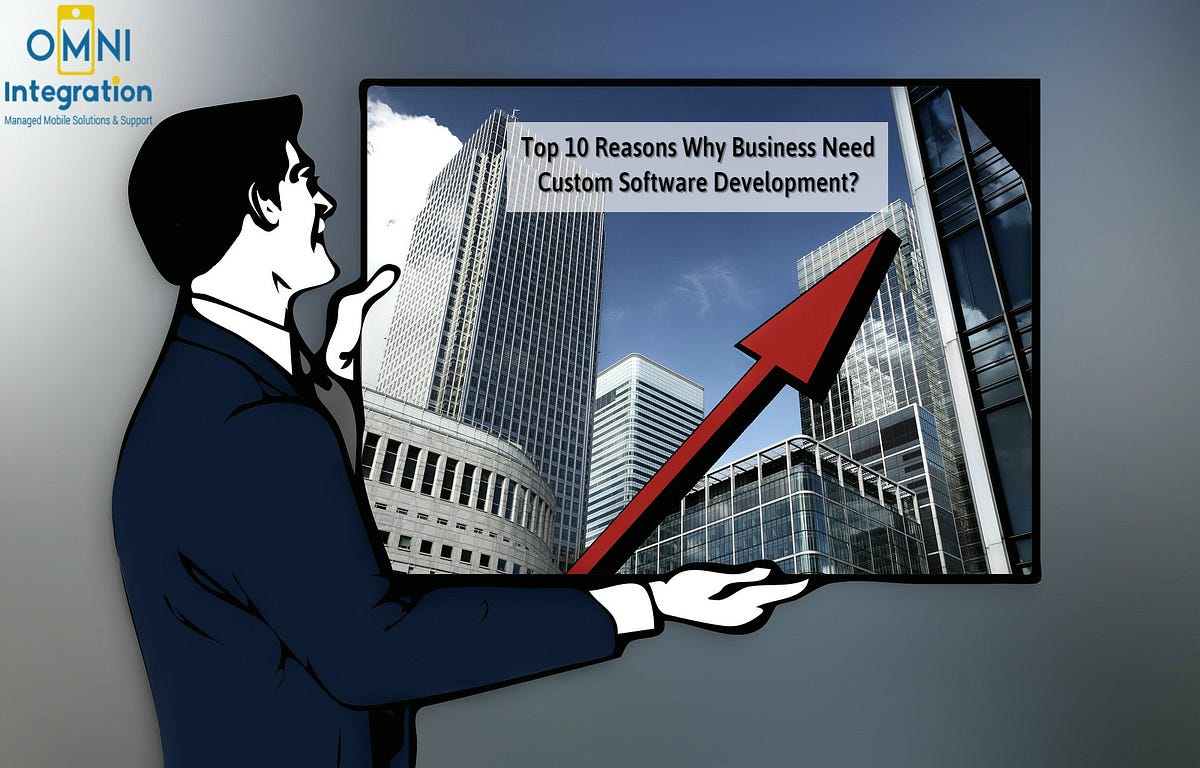 Top 10 Reasons Why Business Need Custom Software Development? | by Omni ...