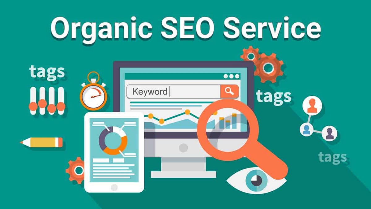 Organic Pulse Your Partner in SEO Growth