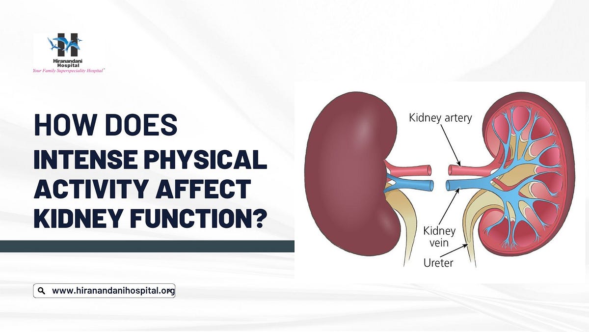 How does intense physical activity affect kidney function? by