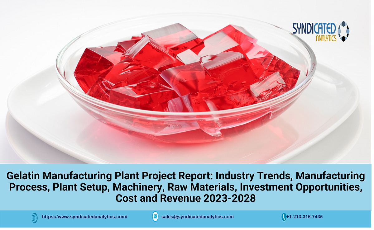 Gelatin Manufacturing Plant Project Report 20232028 Syndicated