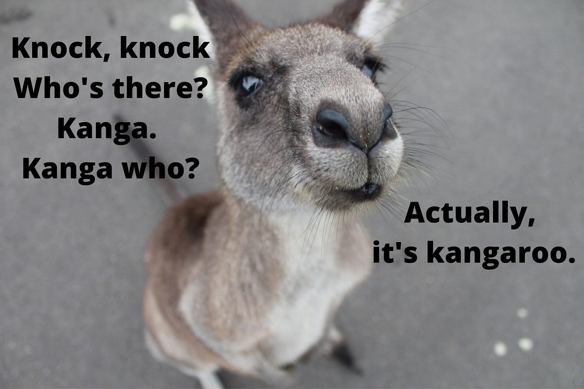 33 Of The Best KnockKnock Jokes To Brighten Up Your Day by David