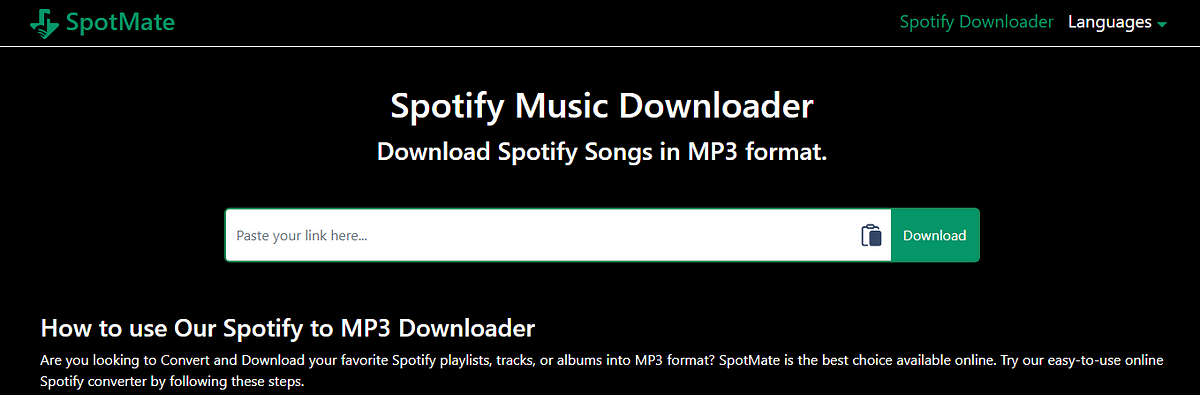 Download spotify cheap songs online