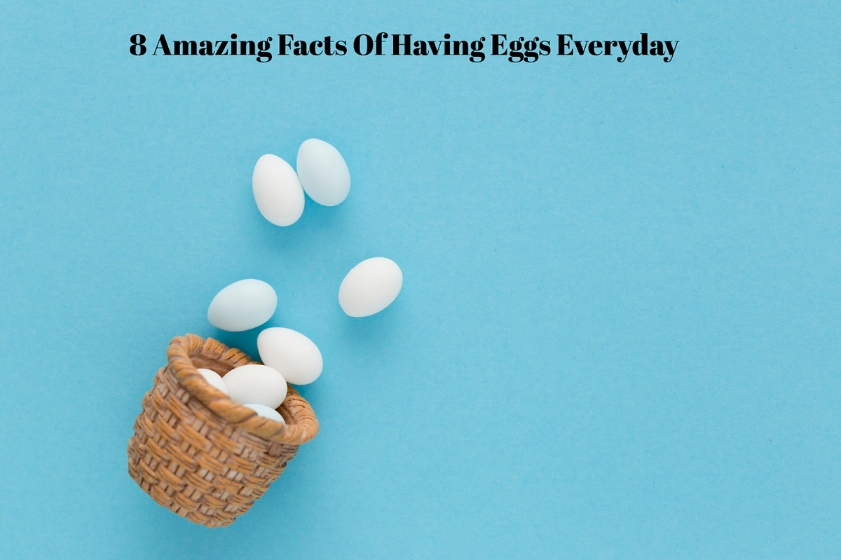 Top 8 Facts About Eating Eggs Every Day by Geewin Exim Medium