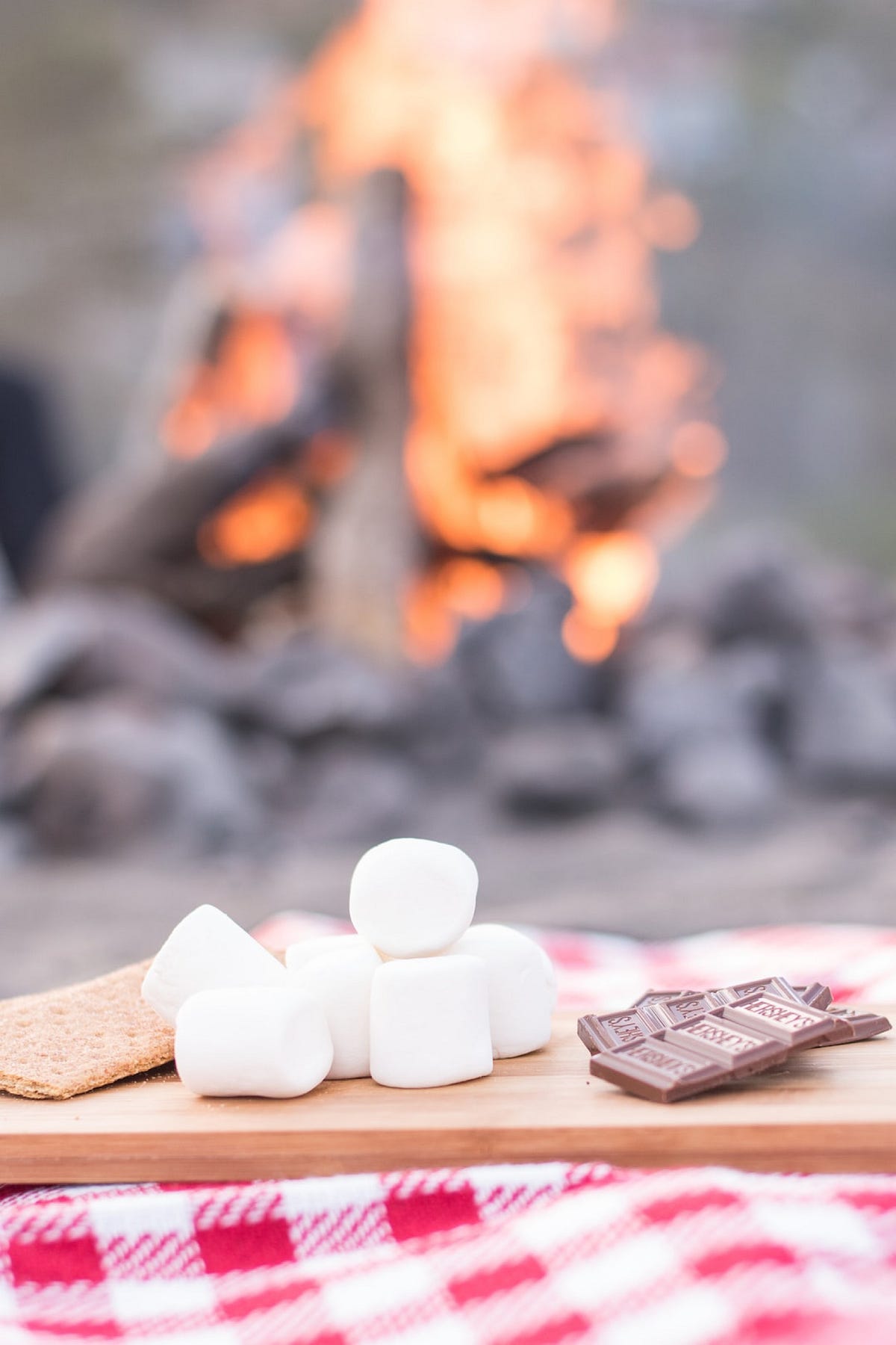 The Stanford Marshmallow Experiment Delayed Gratification and Success
