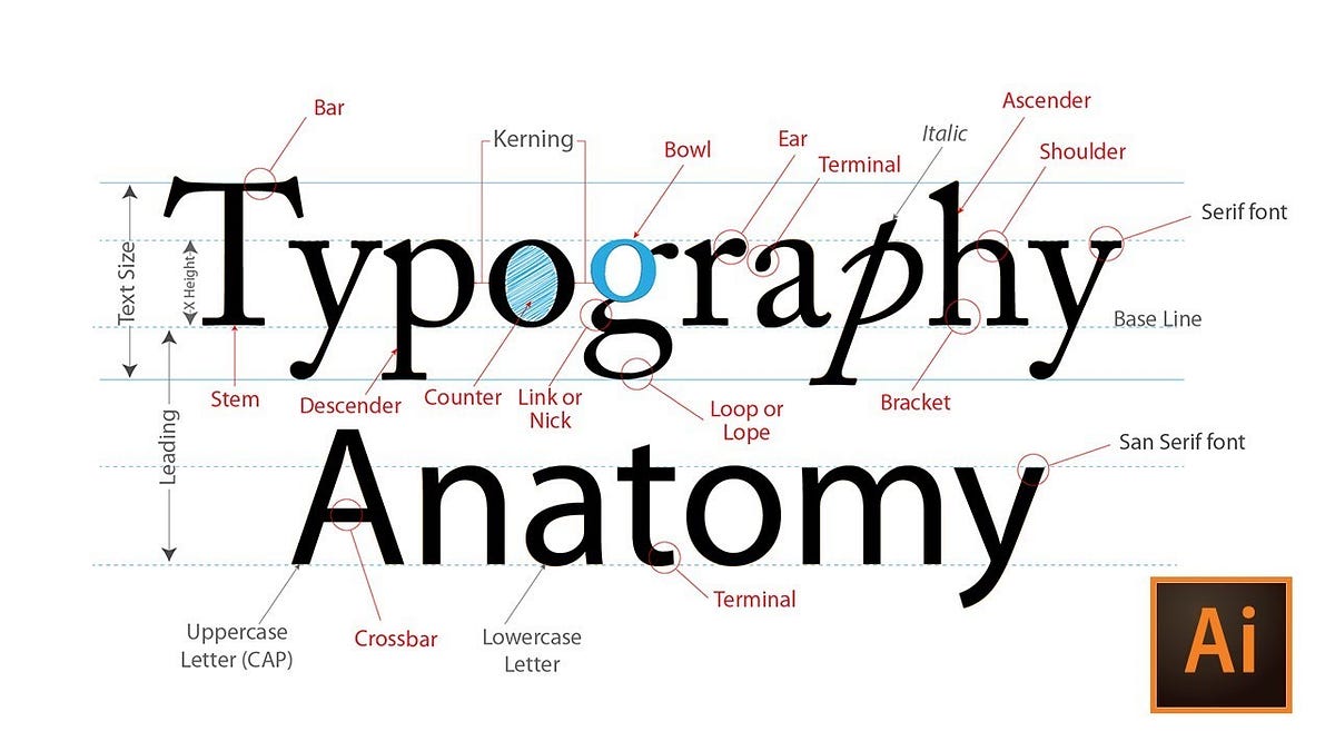 Intext Typography. exploring typeface styles, editing… by Melissa