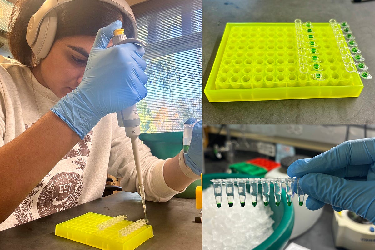 How I reduce plastic waste in the lab: habits and hurdles | by Katy ...