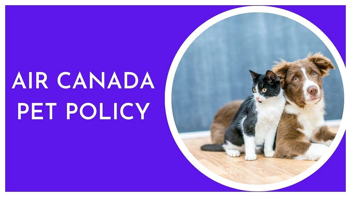 What is Air Canada pet policy?. Air Canada pet policy allows a limited