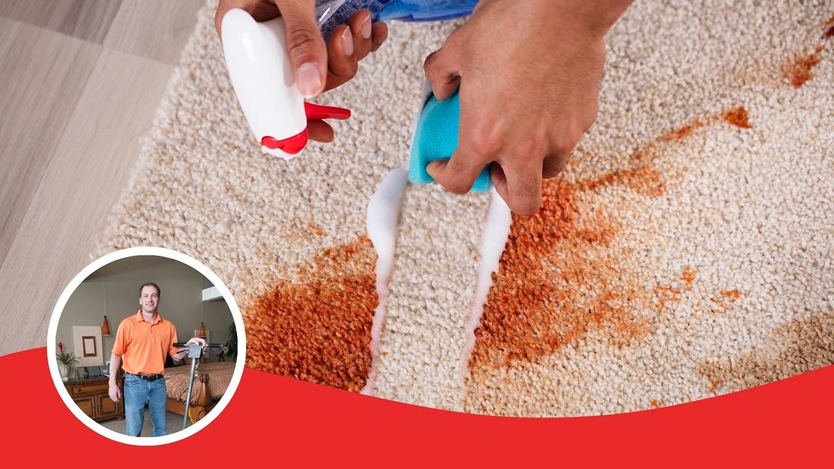 How Often Should You Clean Your Carpets? Expert Tips and Advice by Moderncarpetcleaningau