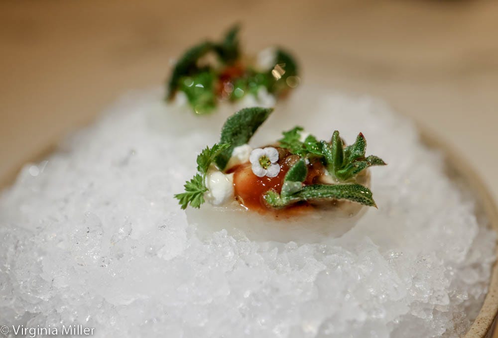 New Chef with Stockholm & London Roots at Reborn, Michelin-Starred Sons & Daughters