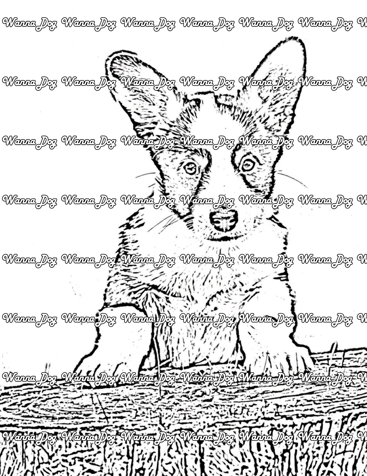 Realistic Dog Coloring Pages. You have a passion for dogs. You… | by