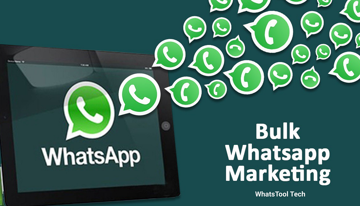 How to send Bulk Messages on WhatsApp using WhatsTool App? by